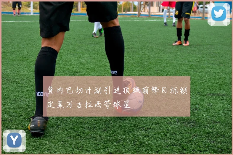 费内巴切计划引进顶级前锋目标锁定莱万吉拉西等球星