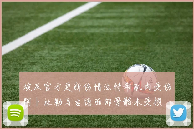 埃及官方更新伤情法特希肌肉受伤阿卜杜勒马吉德面部骨骼未受损