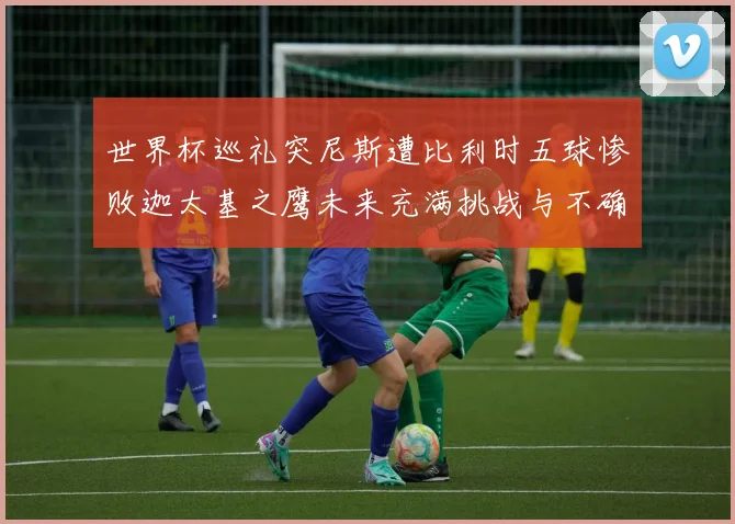 世界杯巡礼突尼斯遭比利时五球惨败迦太基之鹰未来充满挑战与不确定性